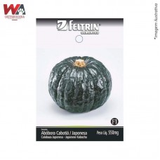 24893 - SEMENTE ABOBORA HIROKO CABOTIA JAP C/25