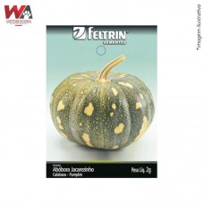 24898 - SEMENTE ABOBORA XINGO JACAREZINHO C/25