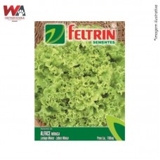 20175 - SEMENTE ALFACE MONICA CRESPA VERDE C/25