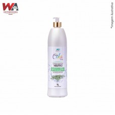 31938 - CONDICION DREAM COLOR ALECRIM DO CAM 1LT