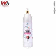 31936 - CONDICION DREAM COLOR FRAMB C/CHAN 1LT