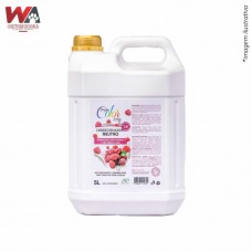 31940 - CONDICION DREAM COLOR FRAMB C/CHAN 5LT