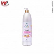 31939 - CONDICION DREAM COLOR TUTTI FRUTTI 1LT