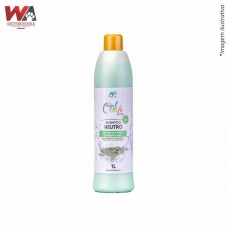 31934 - SHAMPOO DREAM COLOR ALECRIM DO CAMPO 1LT