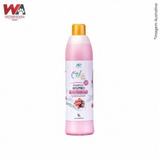 31932 - SHAMPOO DREAM COLOR FRAMBOESA C/CHAN 1LT