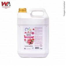 31928 - SHAMPOO DREAM COLOR FRAMBOESA C/CHAN 5LT