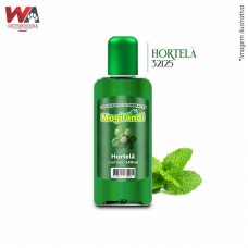 32125 - ODORIZANTE AMBIENTE 140ML HORTELA