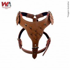 29065 - PEITORAL COURO PITBULL C/CRAVO MARROM