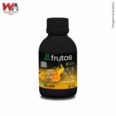32490 - MAIS FRUTOS CONCENTRADO 60ML