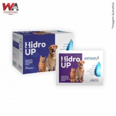 32924 - HIDRO-UP 10G C/10 SACHES