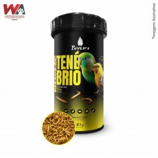 33078 - TENEBRIO 40G
