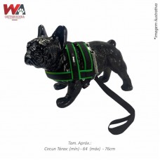 32911 - GUIA C/PEIT LUXO GD PORTE P VERDE