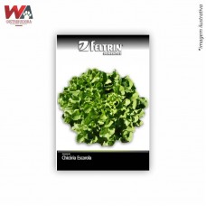 20188 - SEMENTE CHICORIA ESCAROLA GIG BARBR C/25