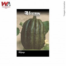 33558 - SEMENTE ABOBORA MOGANGO PUMPKIN C/25
