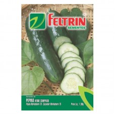 202021 - SEMENTE PEPINO VERDE COMPRIDO SALAD C/25